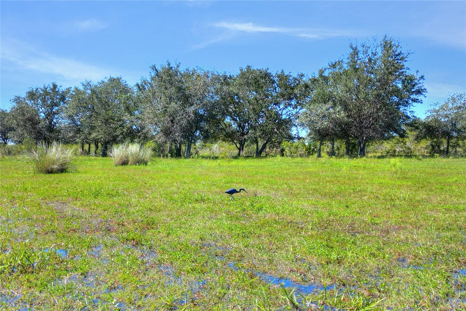 46891 FARABEE RD, PUNTA GORDA, FL — photo 14