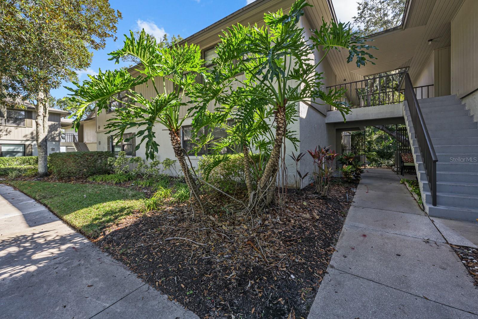 37 ALCIRA CT #37, ST AUGUSTINE, FL — photo 27