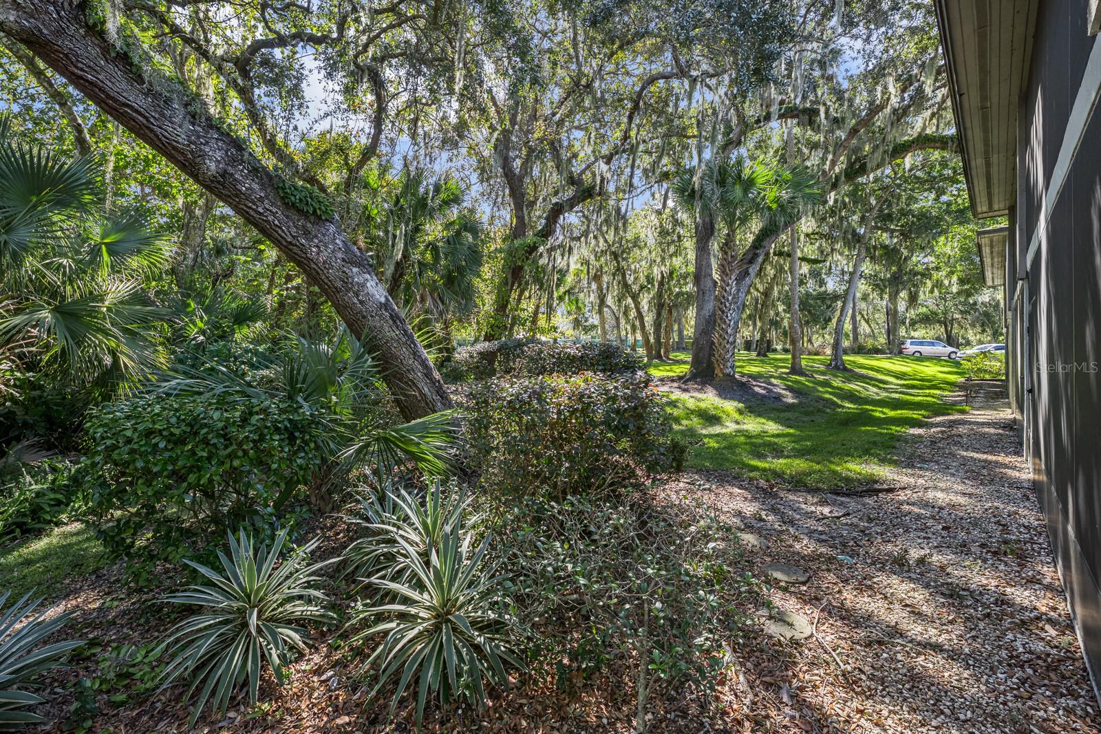 37 ALCIRA CT #37, ST AUGUSTINE, FL — photo 31