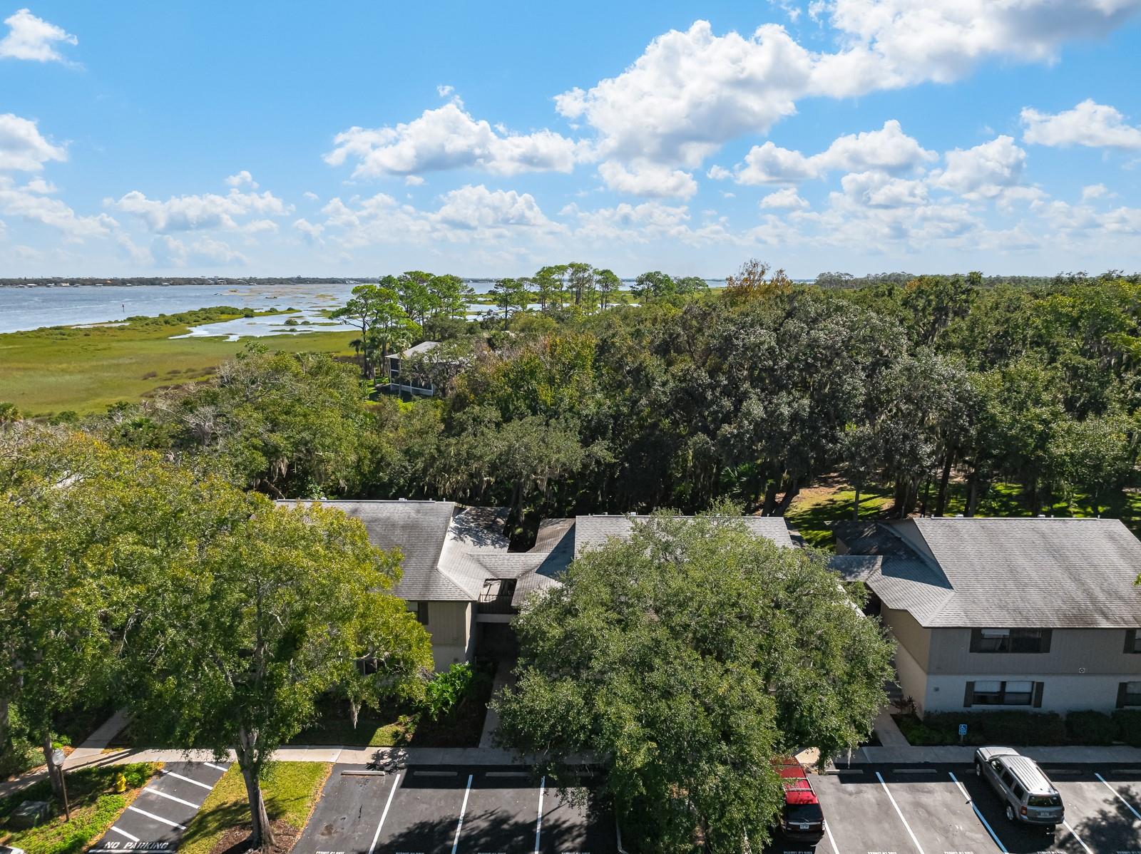 37 ALCIRA CT #37, ST AUGUSTINE, FL — photo 35