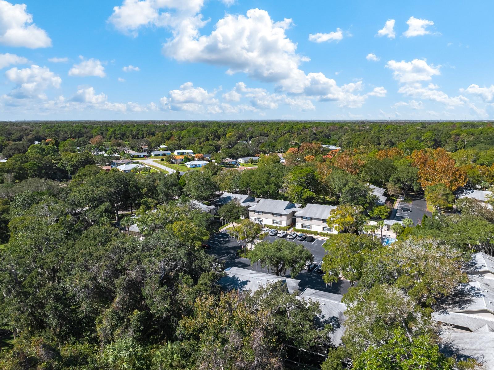 37 ALCIRA CT #37, ST AUGUSTINE, FL — photo 39
