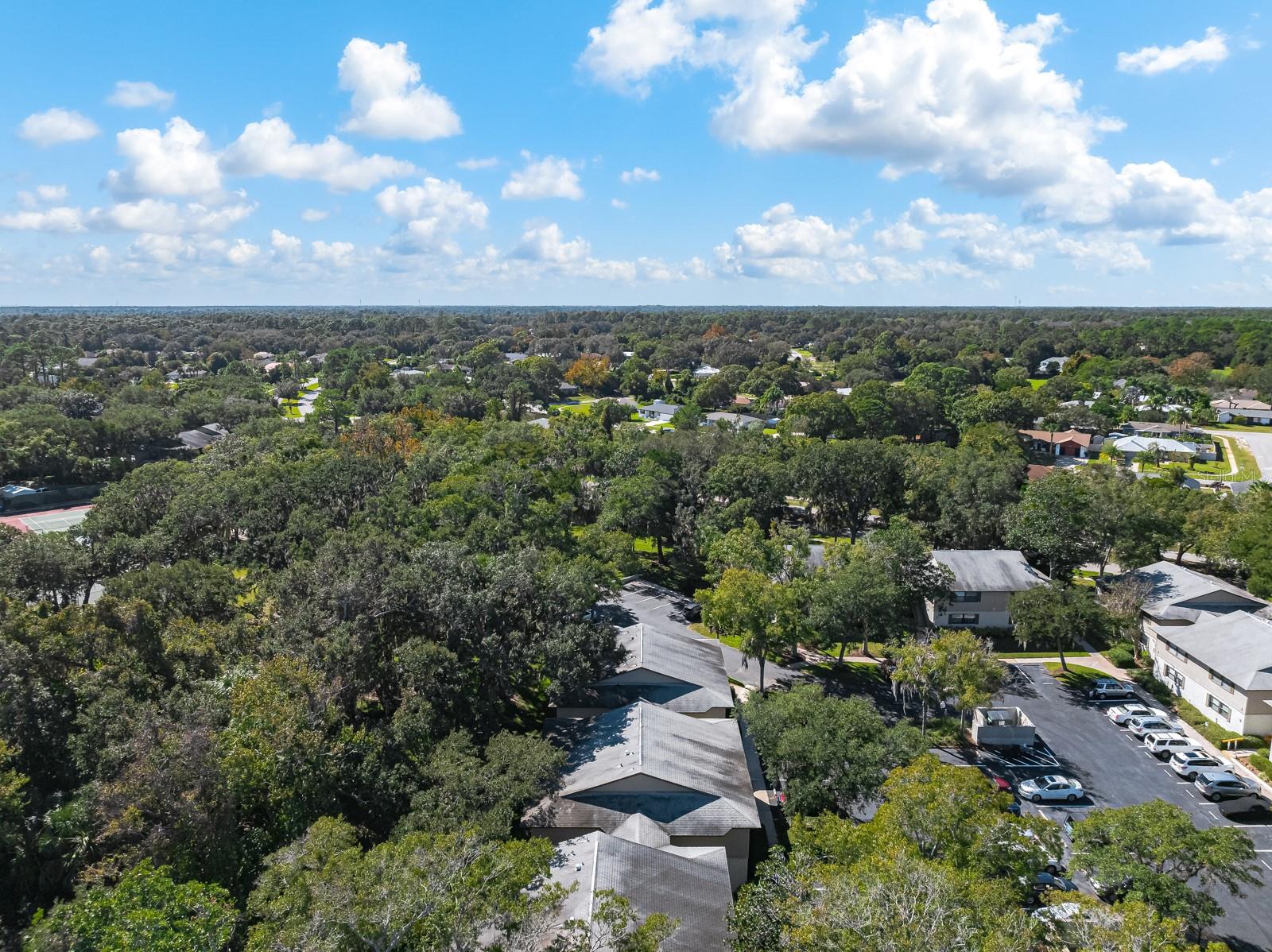 37 ALCIRA CT #37, ST AUGUSTINE, FL — photo 40