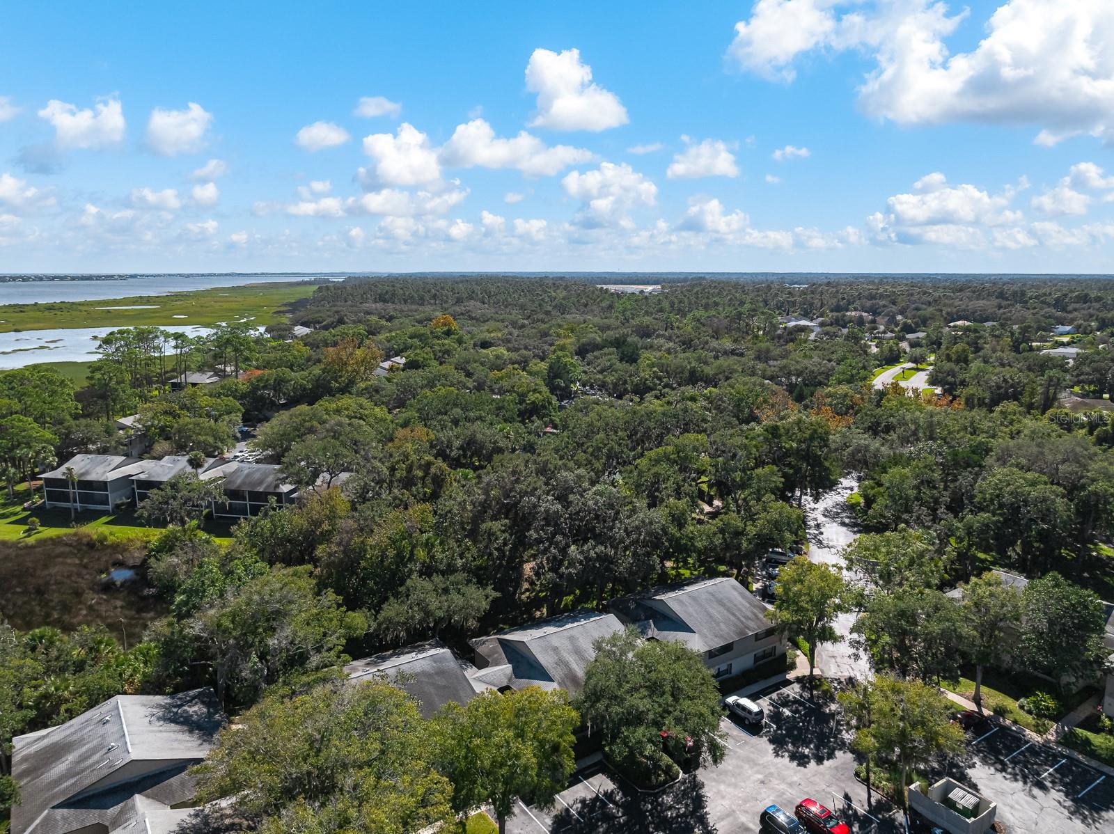 37 ALCIRA CT #37, ST AUGUSTINE, FL — photo 41