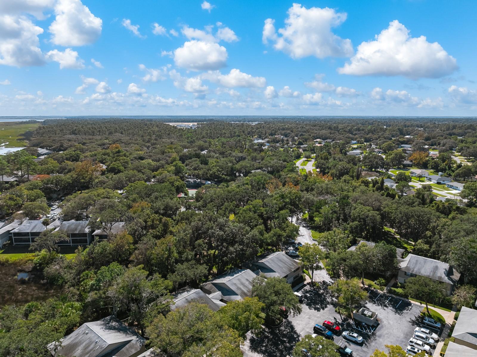 37 ALCIRA CT #37, ST AUGUSTINE, FL — photo 45