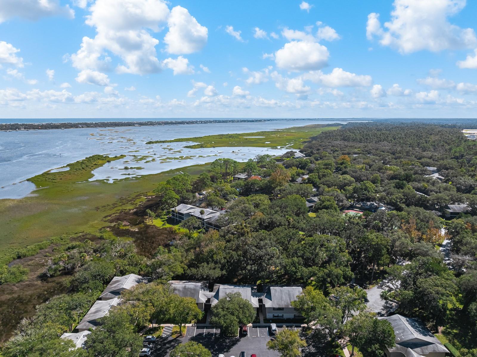 37 ALCIRA CT #37, ST AUGUSTINE, FL — photo 46