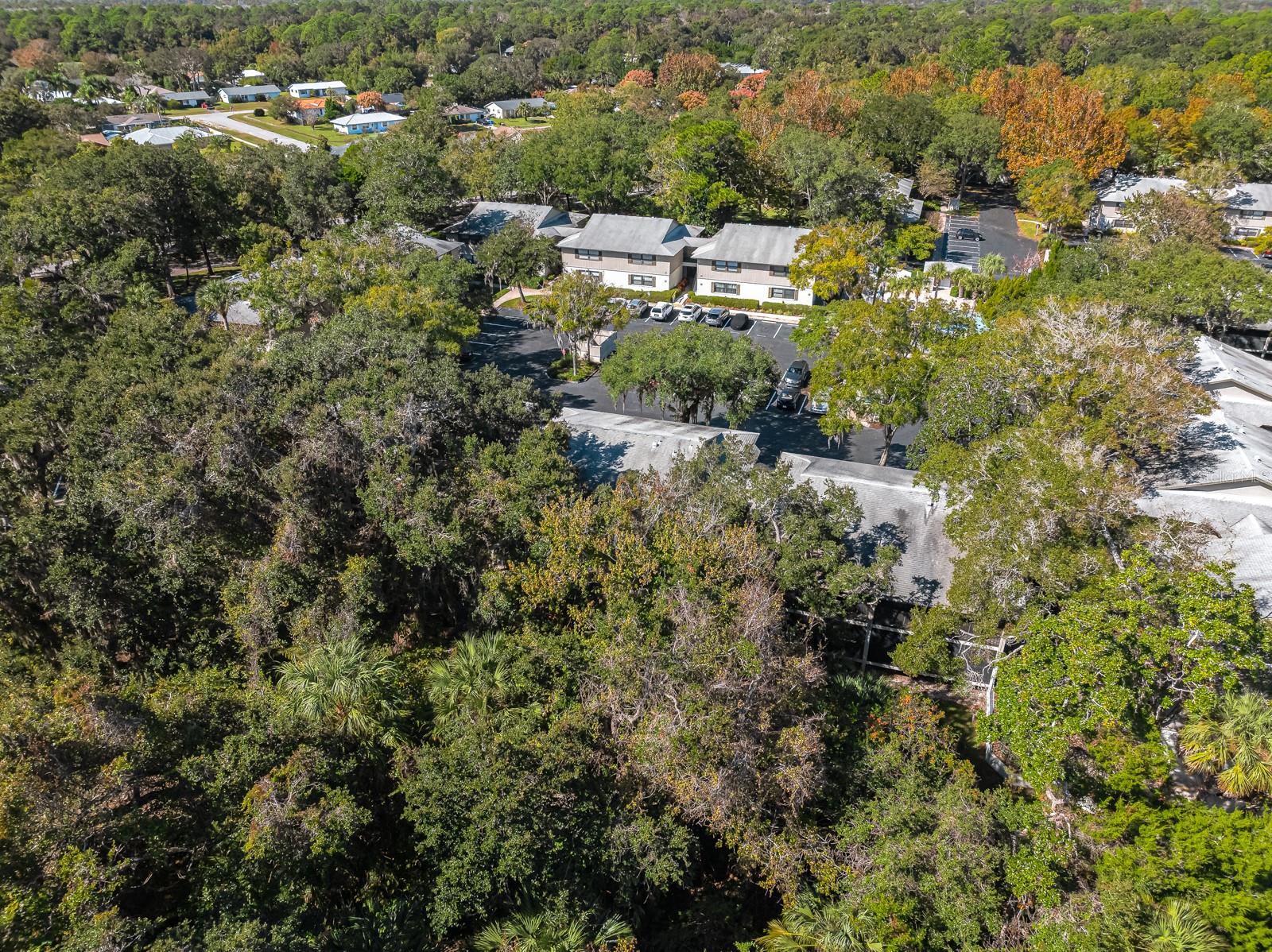 37 ALCIRA CT #37, ST AUGUSTINE, FL — photo 48