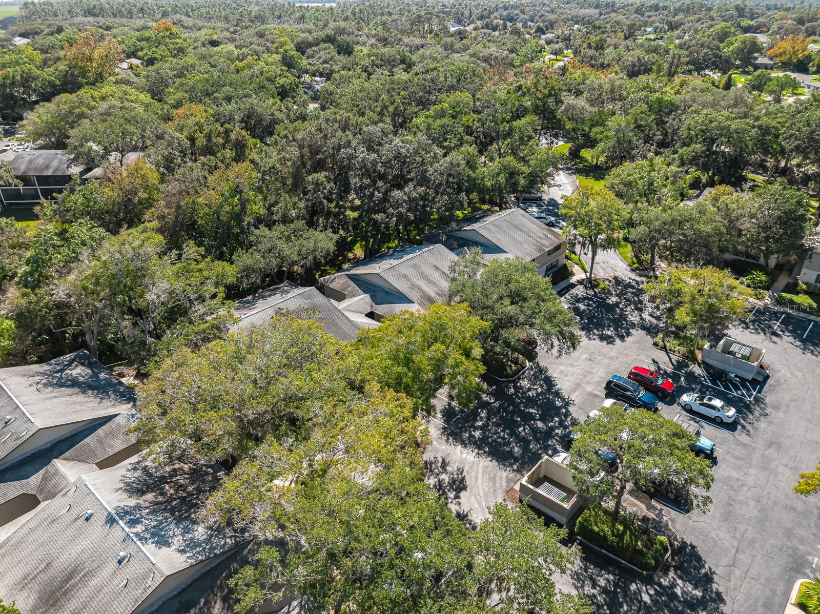 37 ALCIRA CT #37, ST AUGUSTINE, FL — photo 49