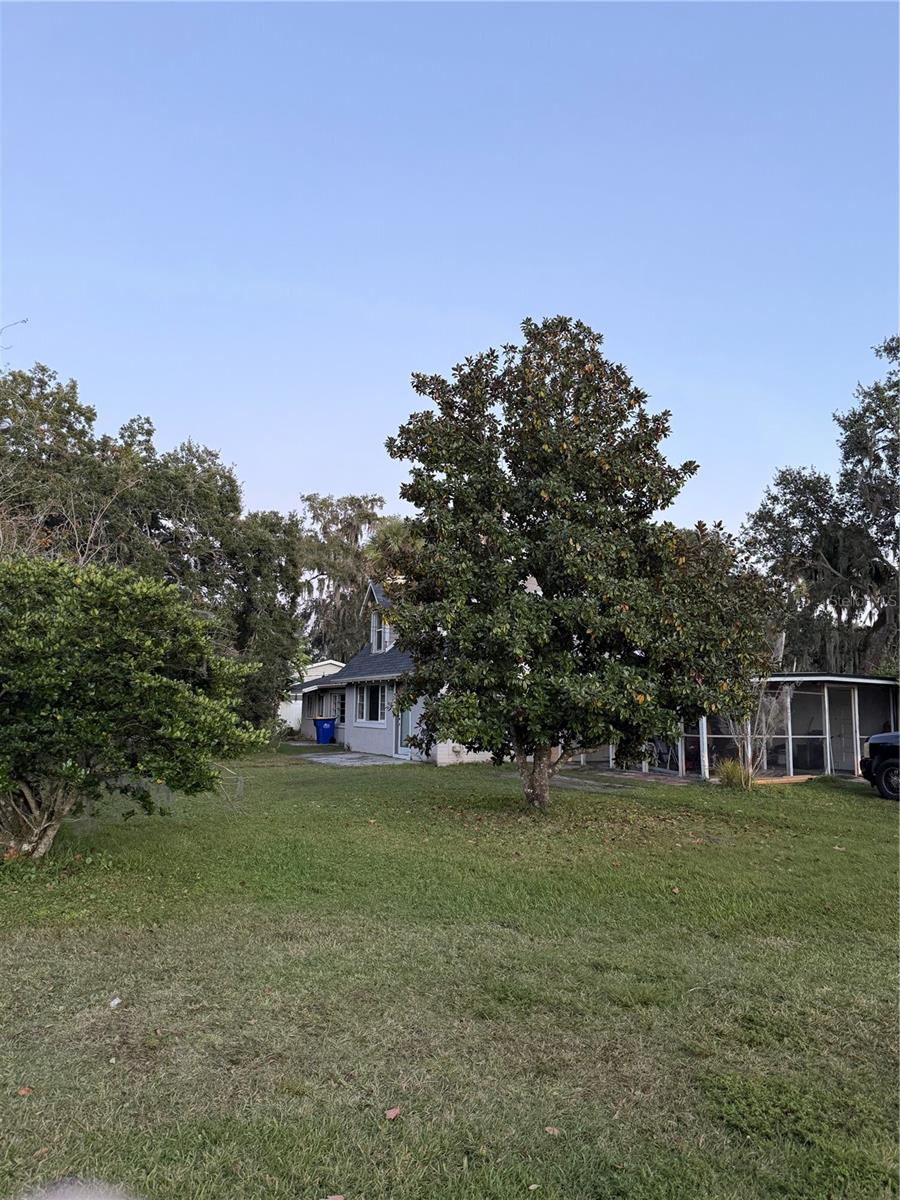 226 WILDWOOD AVE, EDGEWATER, FL — photo 5