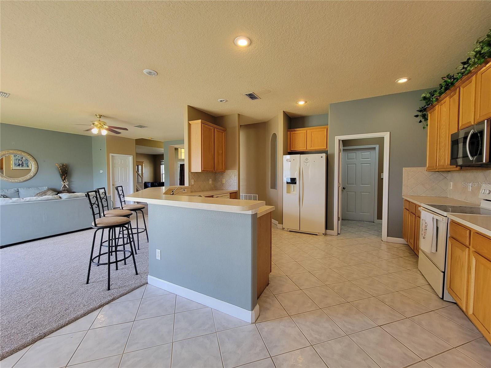 3145 TWISTED OAK LOOP, KISSIMMEE, FL — photo 61