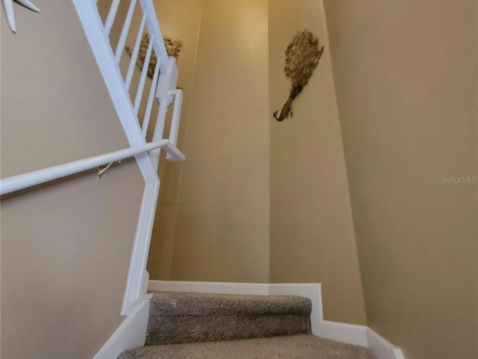 3145 TWISTED OAK LOOP, KISSIMMEE, FL — photo 106