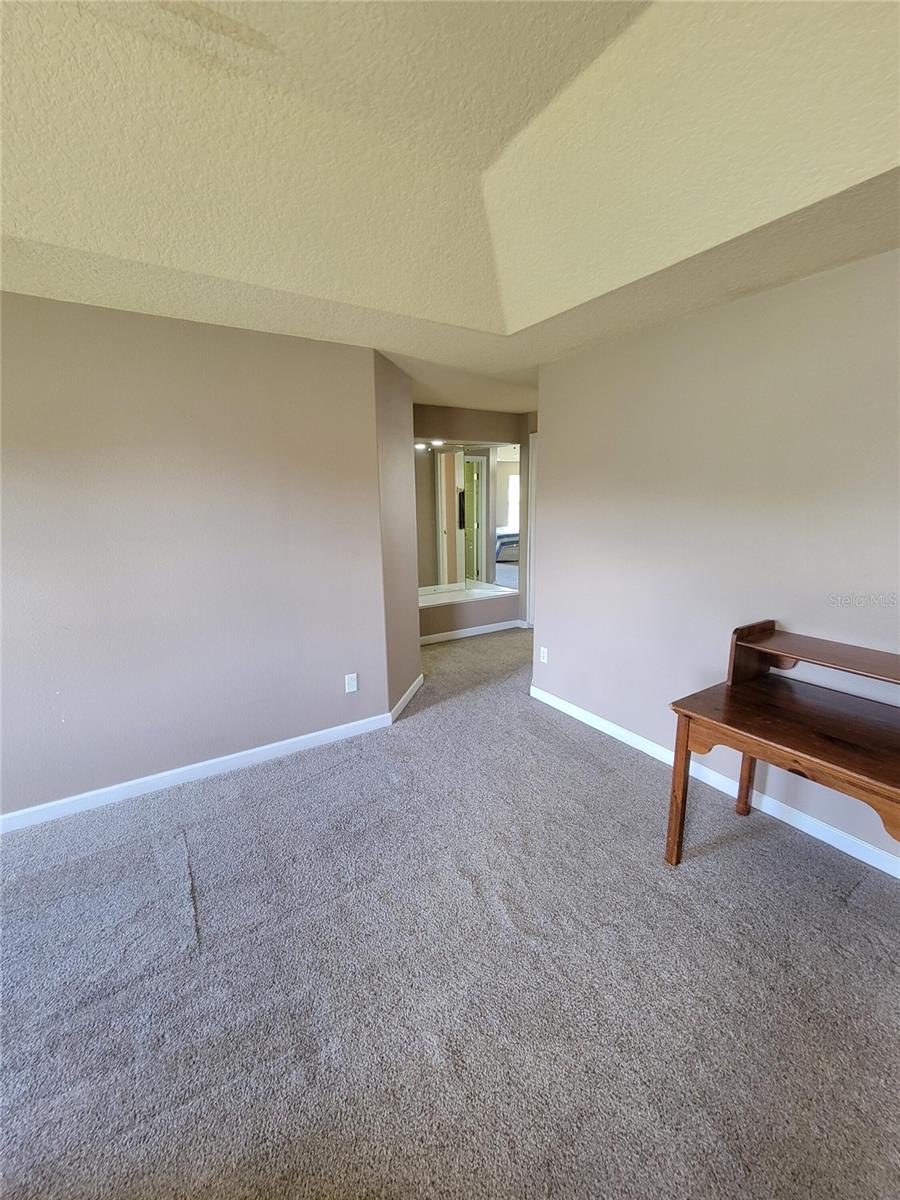 3145 TWISTED OAK LOOP, KISSIMMEE, FL — photo 121