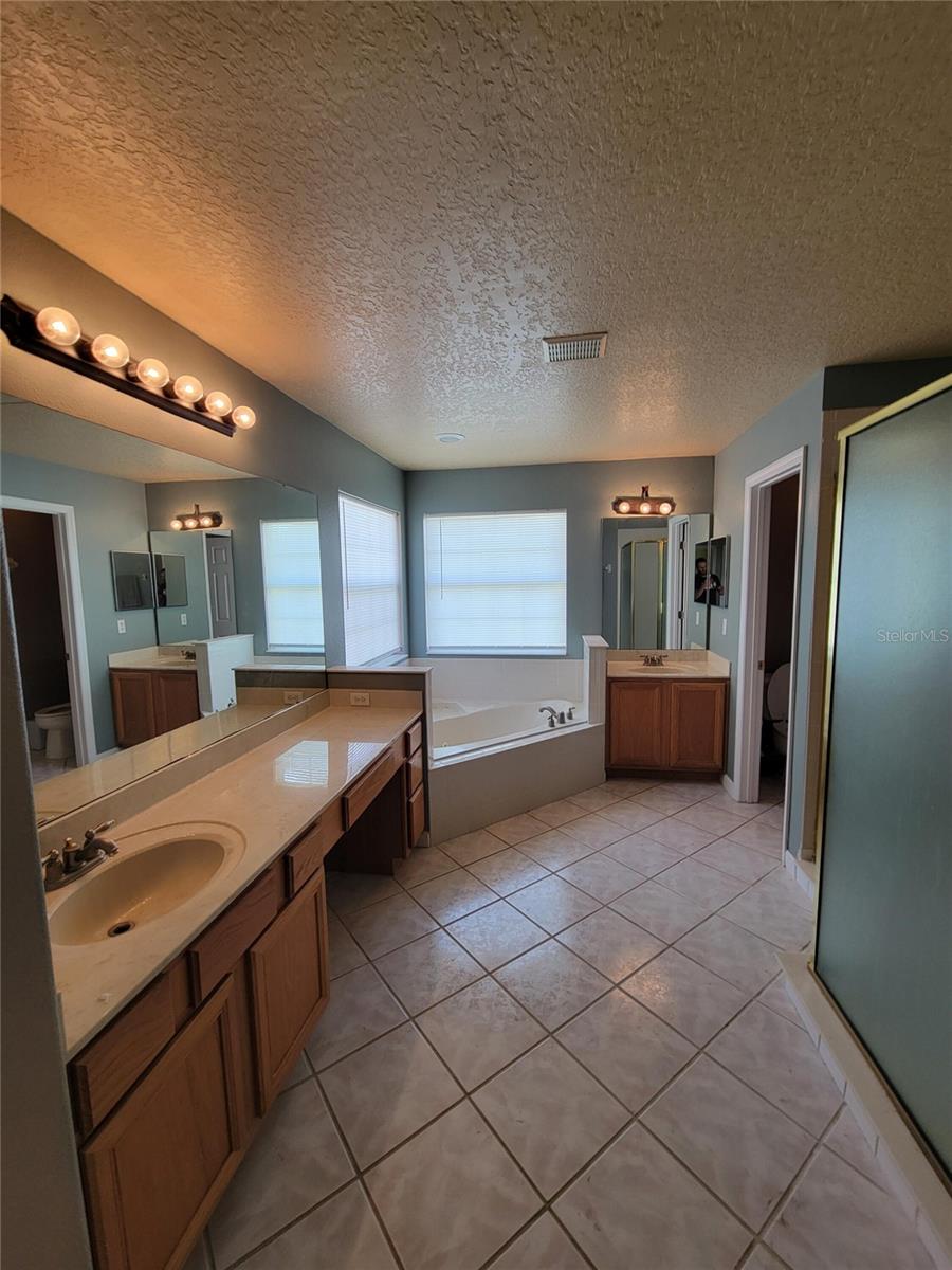 3145 TWISTED OAK LOOP, KISSIMMEE, FL — photo 129