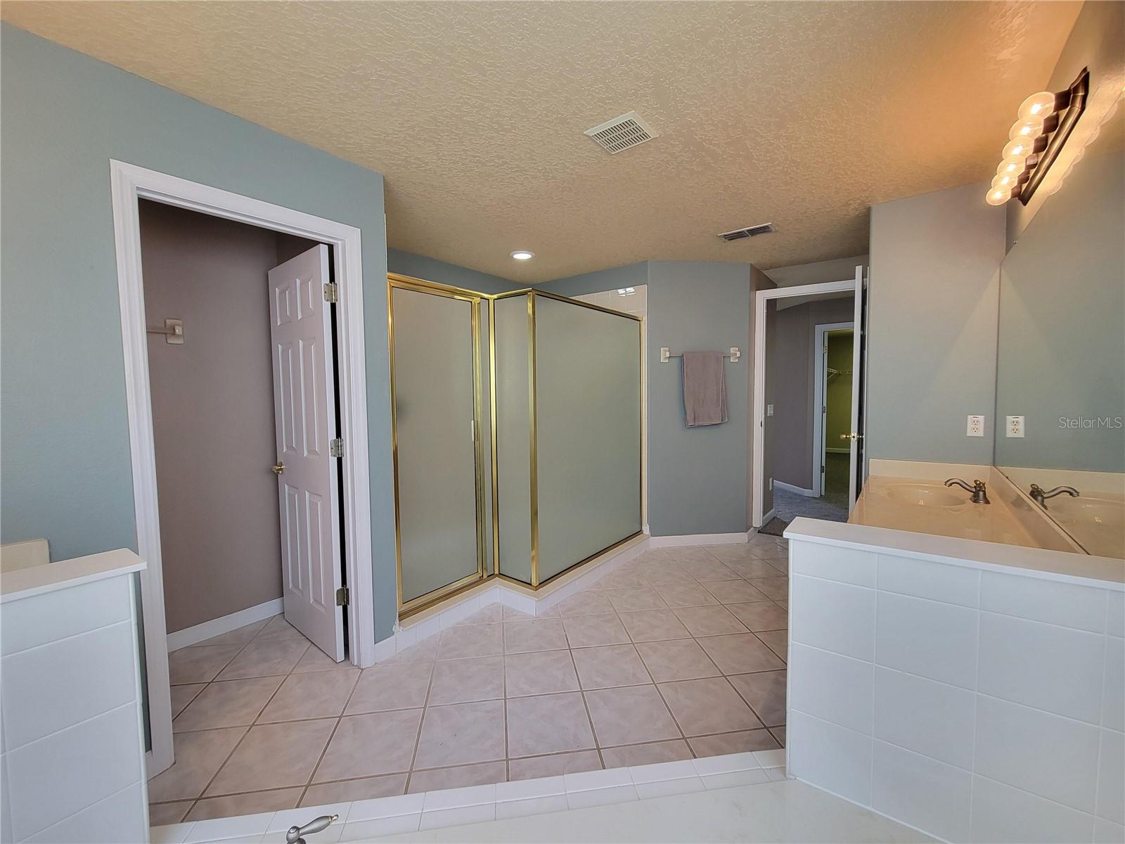 3145 TWISTED OAK LOOP, KISSIMMEE, FL — photo 132