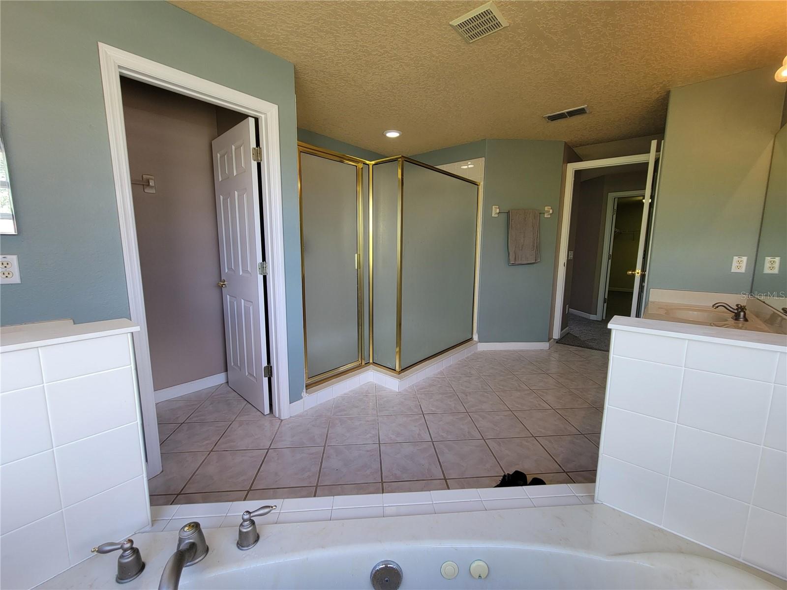 3145 TWISTED OAK LOOP, KISSIMMEE, FL — photo 134