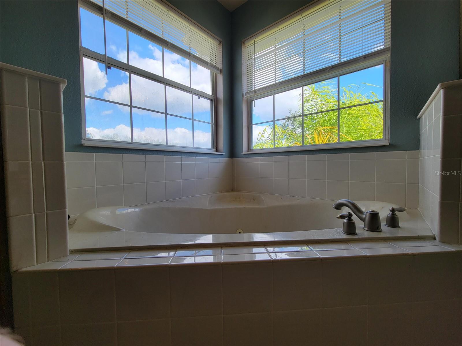 3145 TWISTED OAK LOOP, KISSIMMEE, FL — photo 135