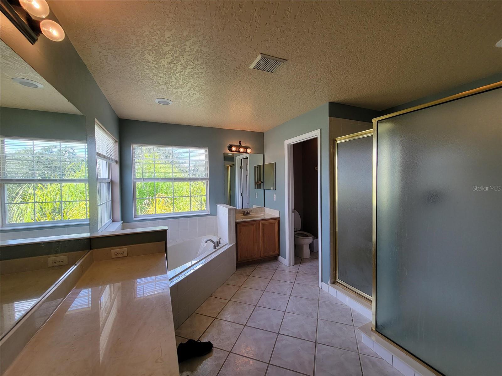3145 TWISTED OAK LOOP, KISSIMMEE, FL — photo 137