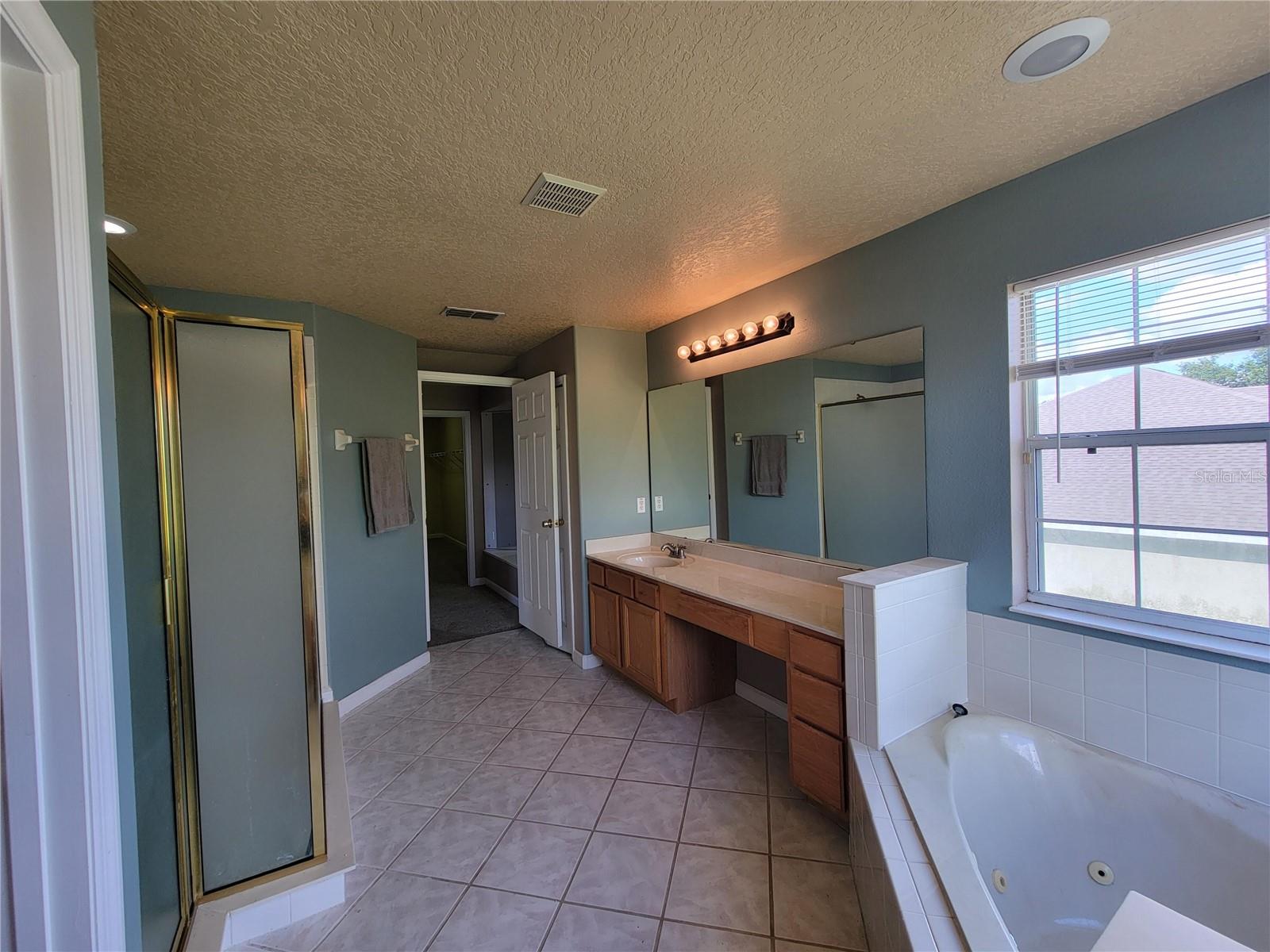 3145 TWISTED OAK LOOP, KISSIMMEE, FL — photo 147