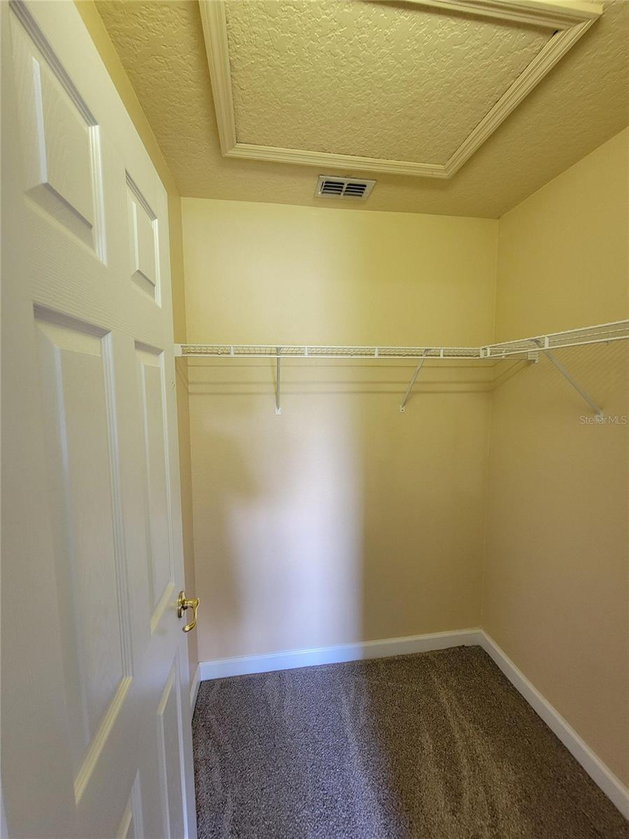 3145 TWISTED OAK LOOP, KISSIMMEE, FL — photo 167