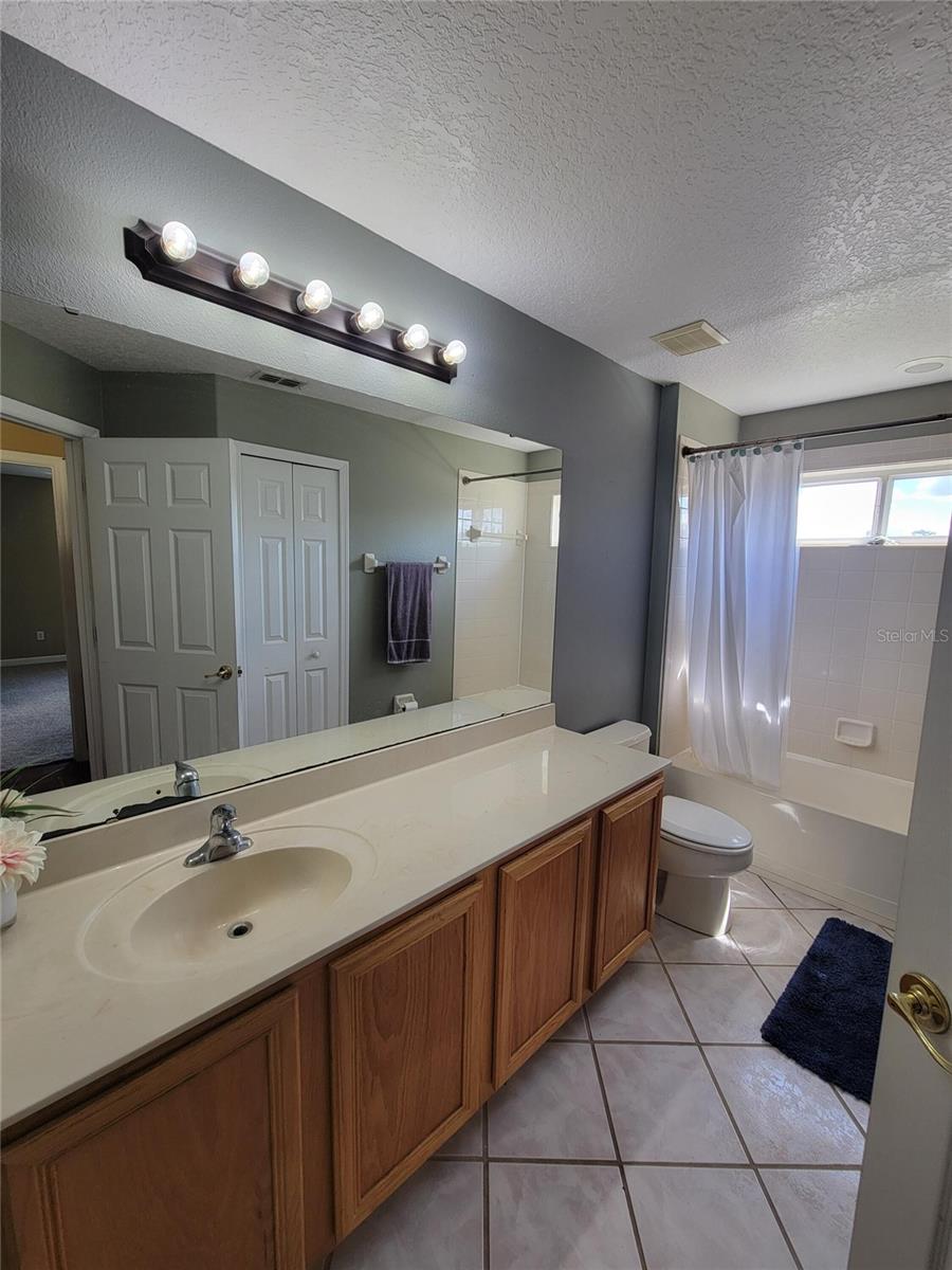 3145 TWISTED OAK LOOP, KISSIMMEE, FL — photo 172
