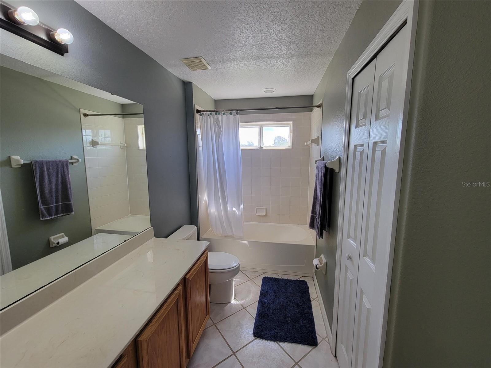 3145 TWISTED OAK LOOP, KISSIMMEE, FL — photo 173