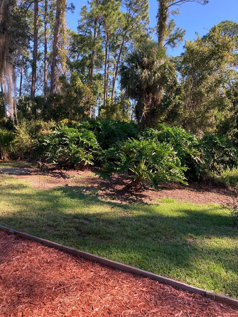 2824 MANATEE RD, TAVARES, FL — photo 8