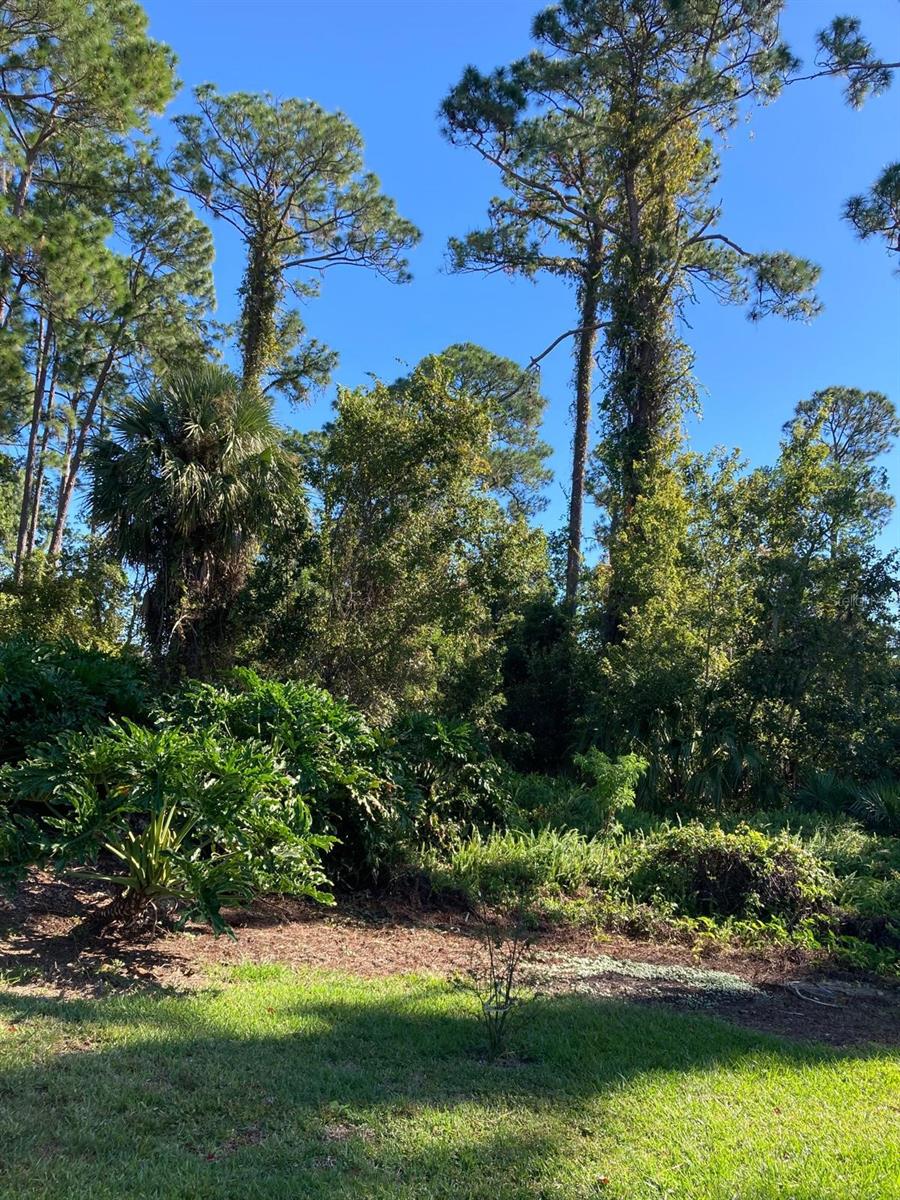 2824 MANATEE RD, TAVARES, FL — photo 9