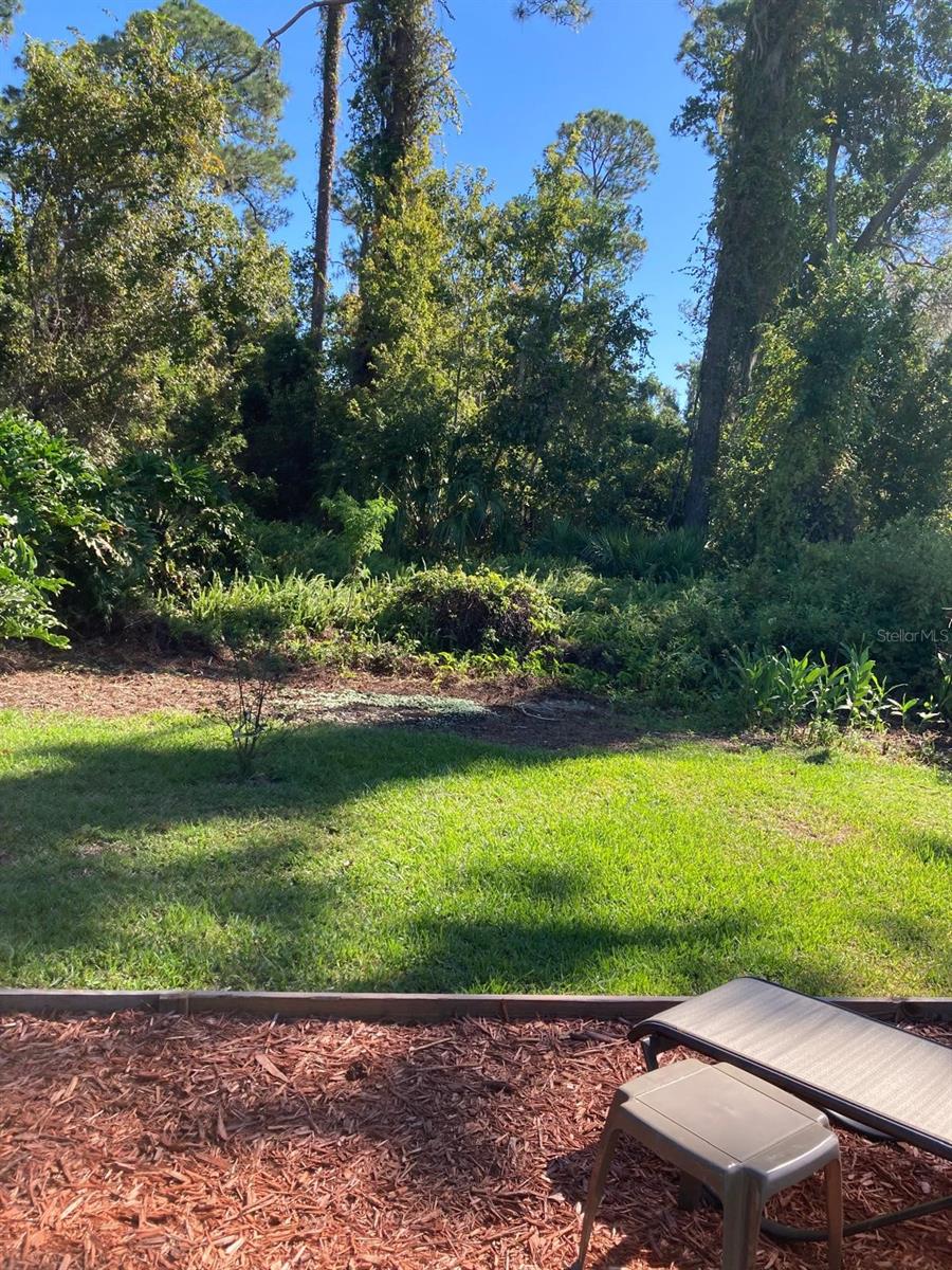 2824 MANATEE RD, TAVARES, FL — photo 10
