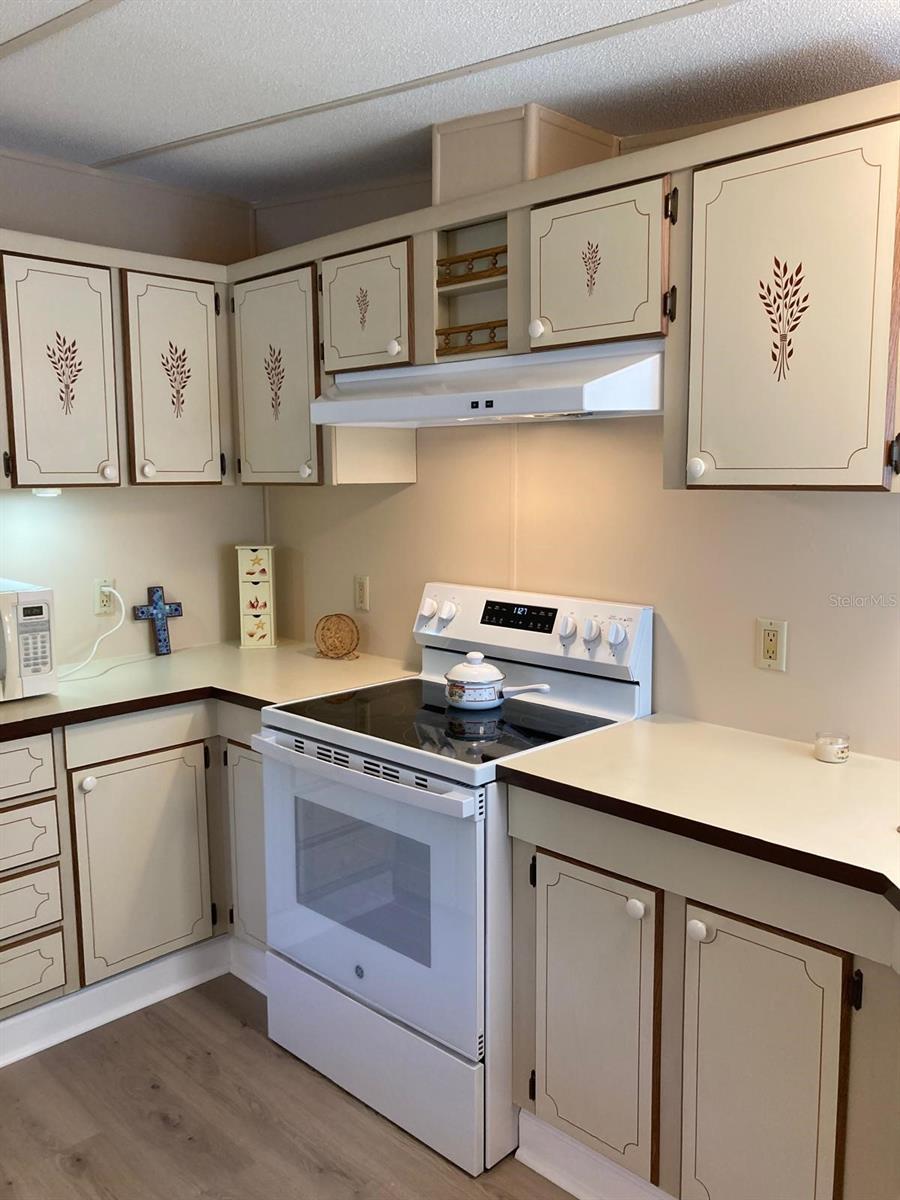 2824 MANATEE RD, TAVARES, FL — photo 12