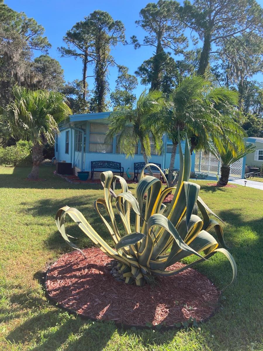 2824 MANATEE RD, TAVARES, FL — photo 42