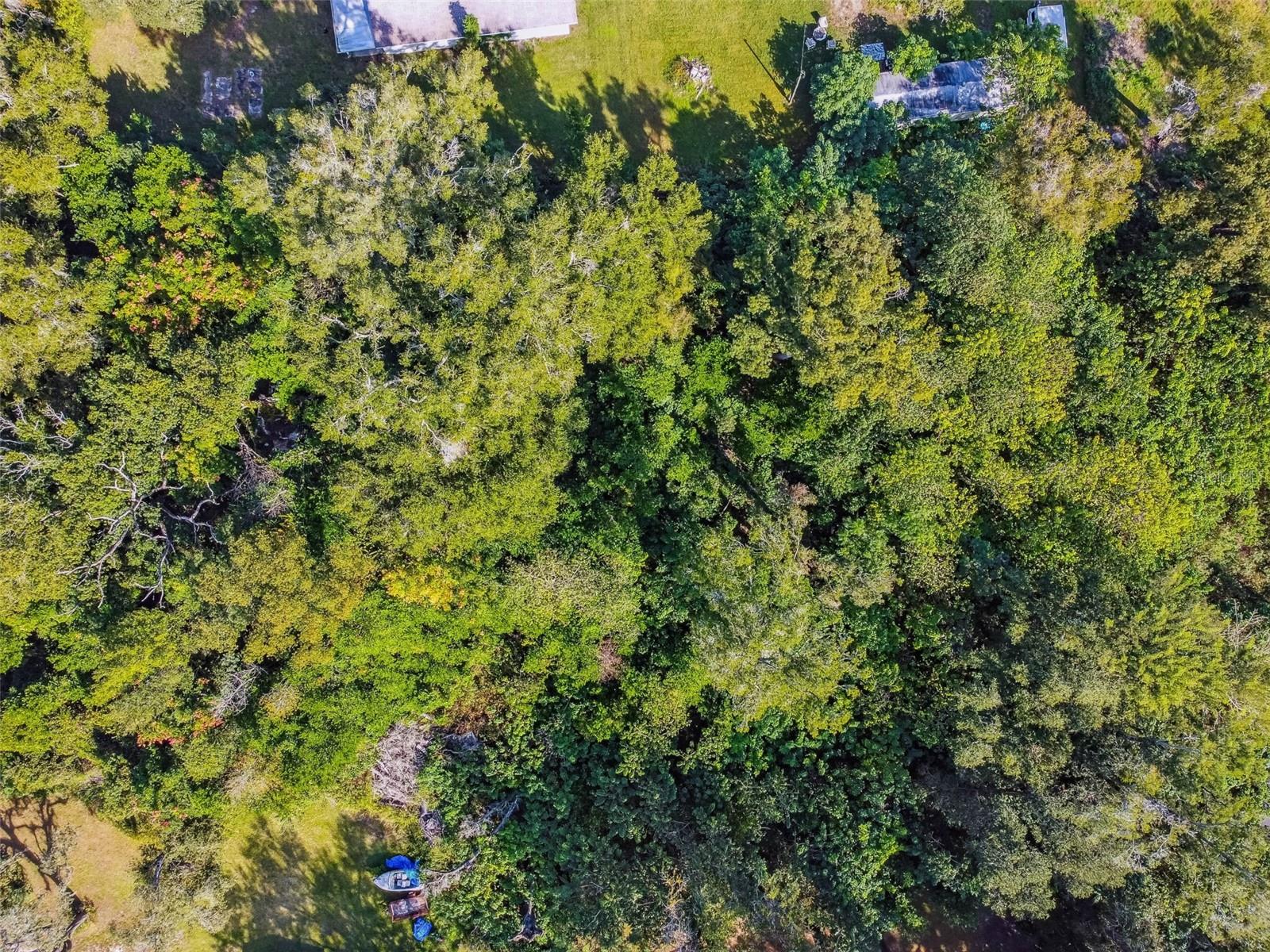 8408 RICHLAND SCHOOL RD, ZEPHYRHILLS, FL — photo 5