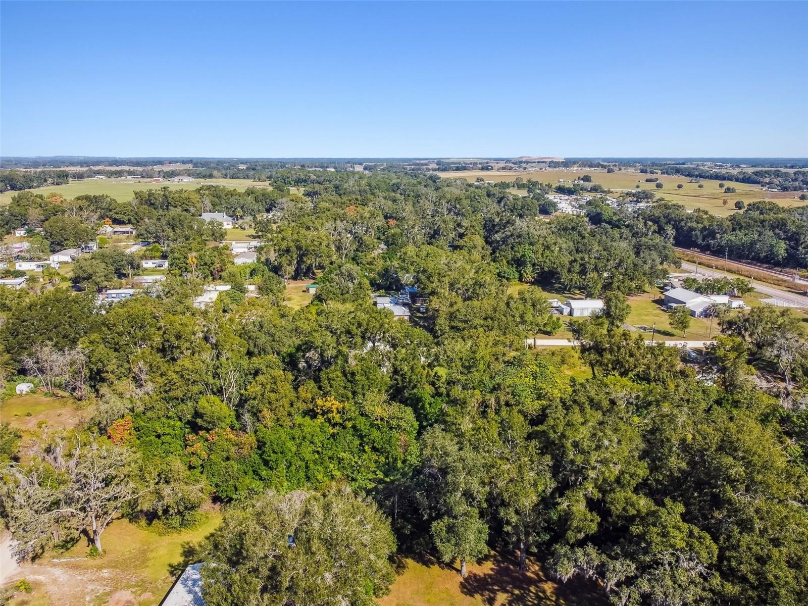 8408 RICHLAND SCHOOL RD, ZEPHYRHILLS, FL — photo 15