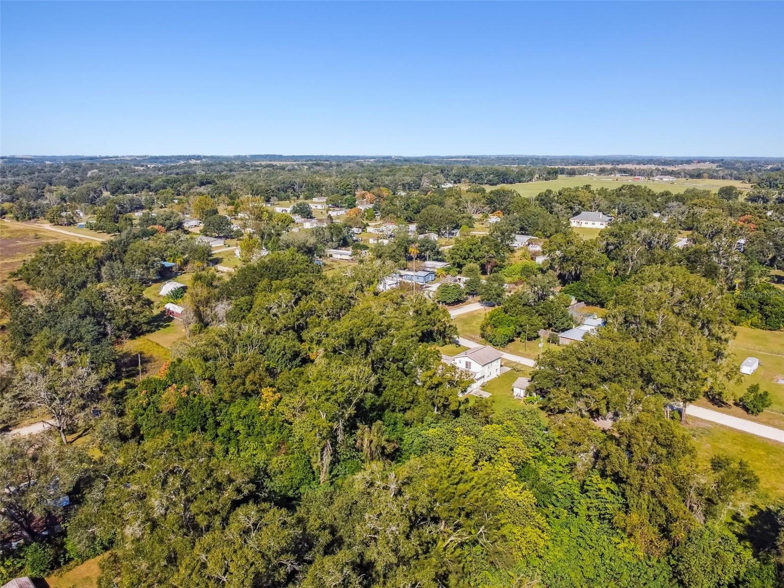 8408 RICHLAND SCHOOL RD, ZEPHYRHILLS, FL — photo 16
