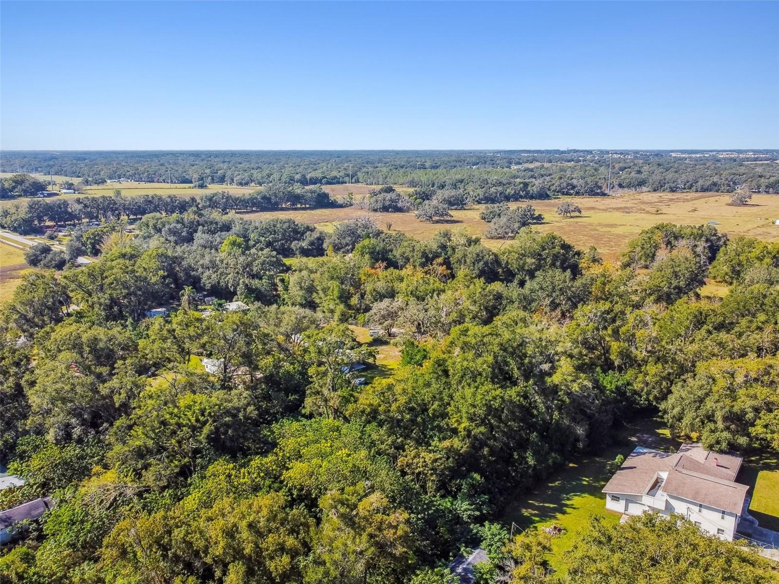 8408 RICHLAND SCHOOL RD, ZEPHYRHILLS, FL — photo 18
