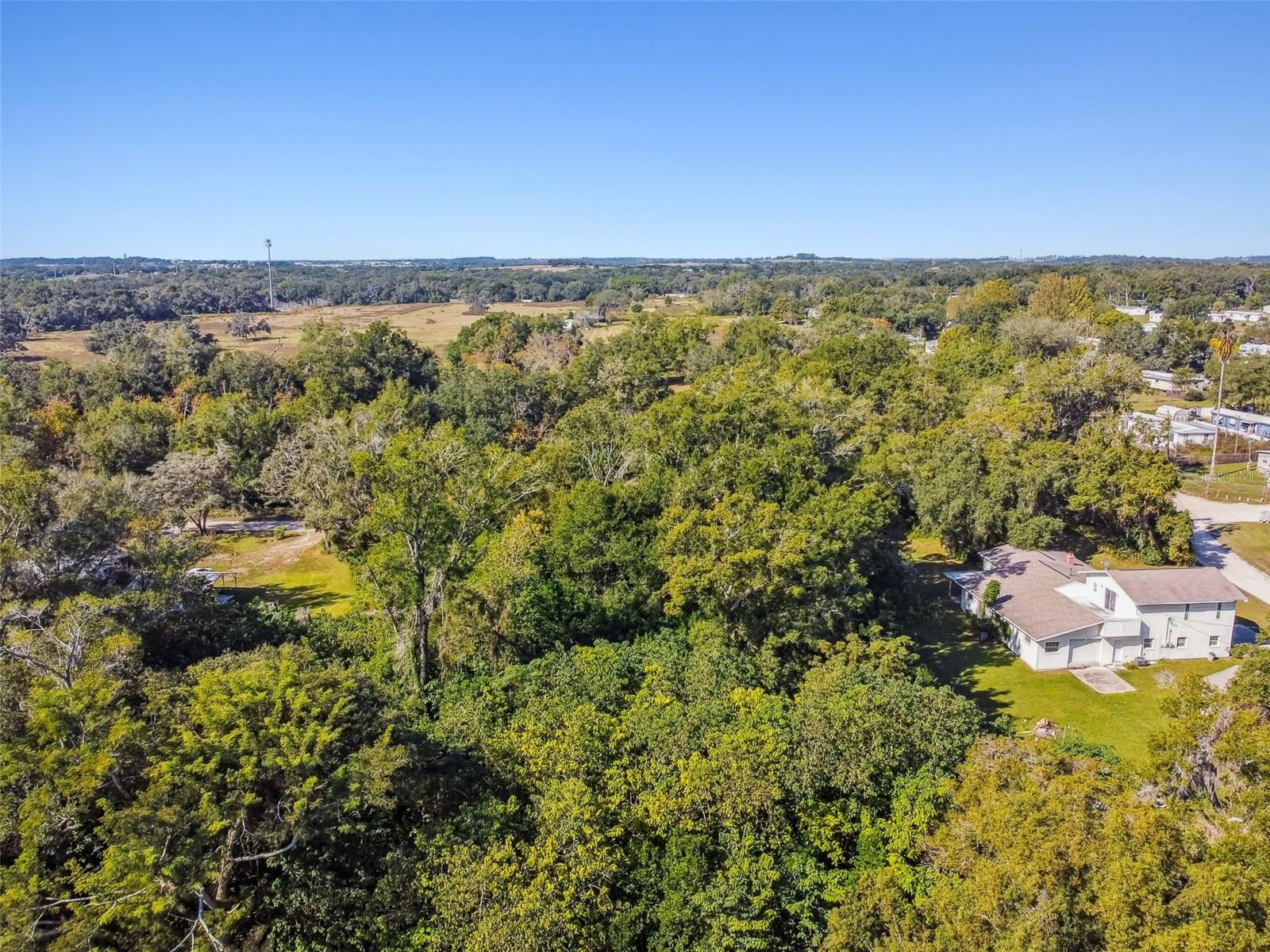 8408 RICHLAND SCHOOL RD, ZEPHYRHILLS, FL — photo 23