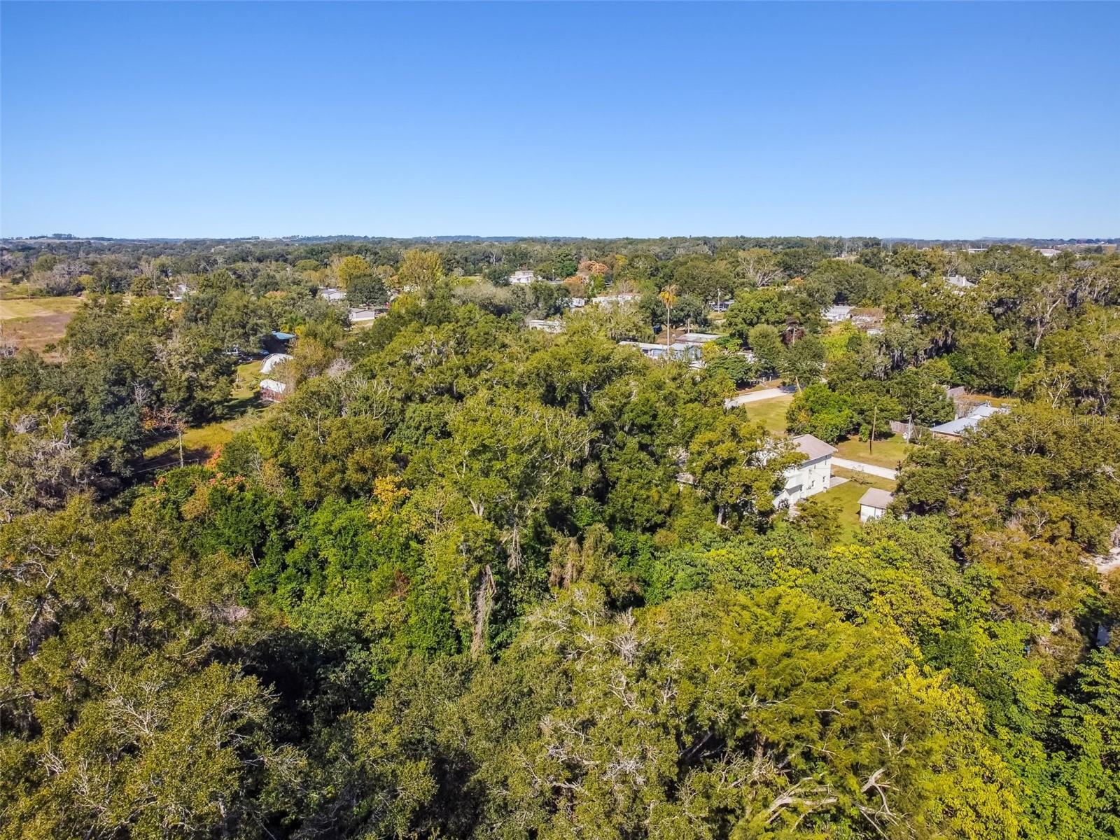 8408 RICHLAND SCHOOL RD, ZEPHYRHILLS, FL — photo 24