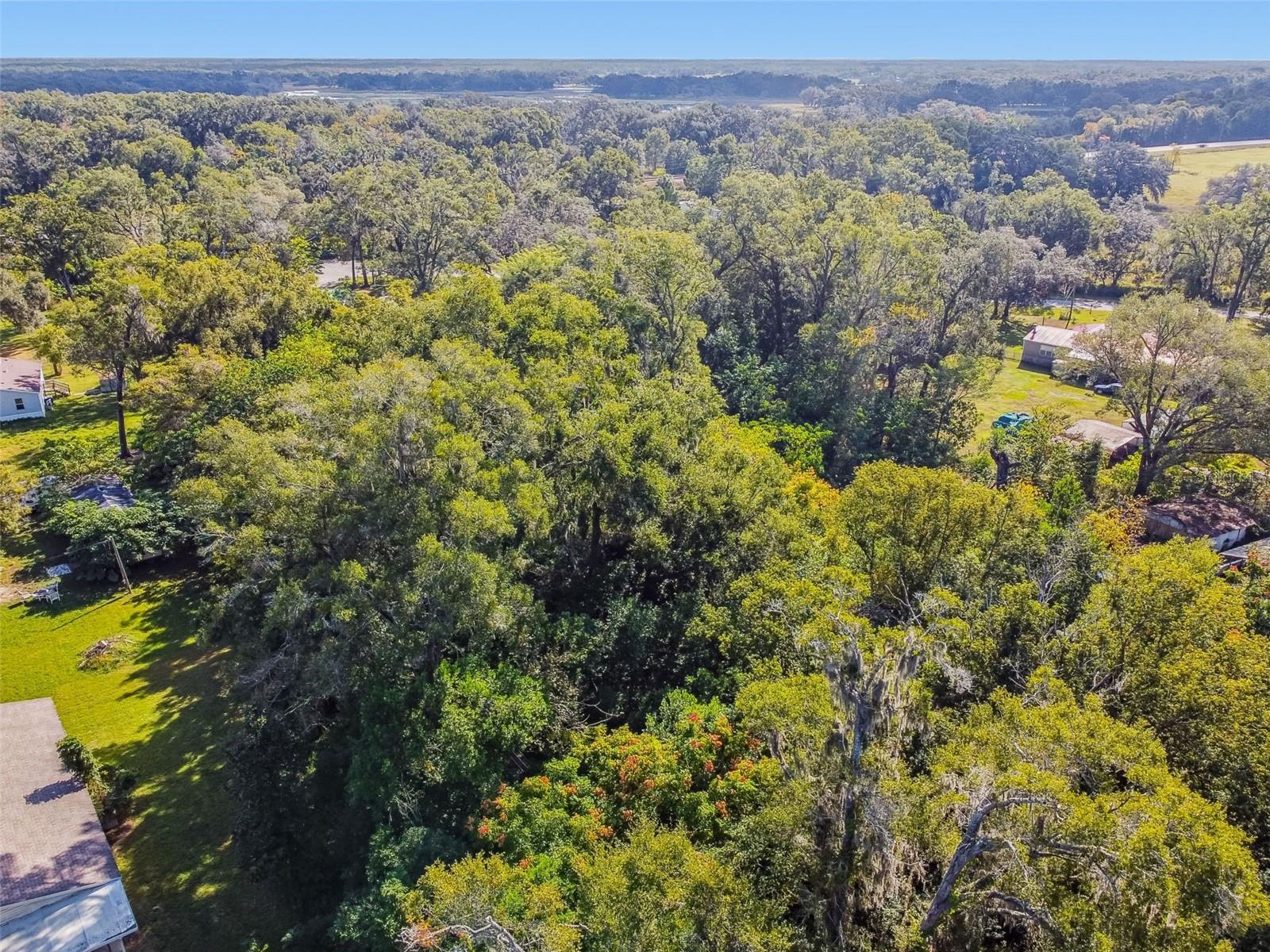 8408 RICHLAND SCHOOL RD, ZEPHYRHILLS, FL — photo 27