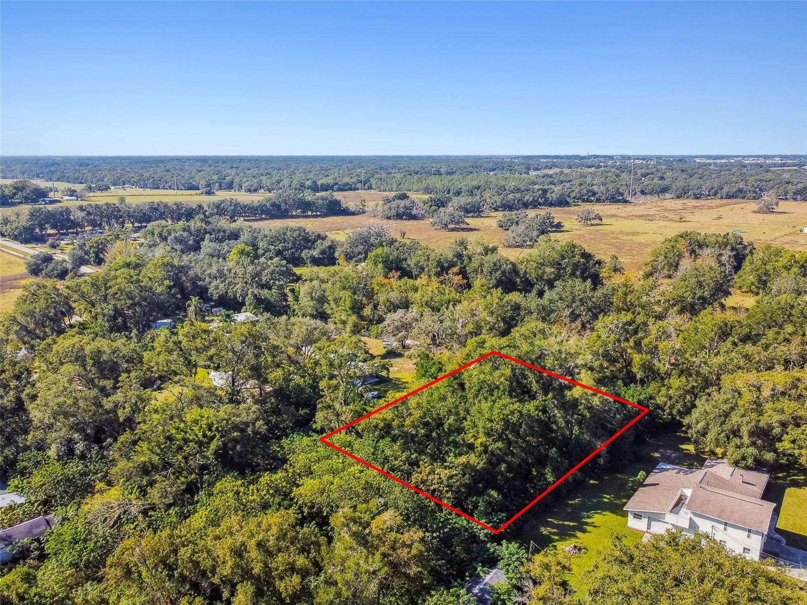 8408 RICHLAND SCHOOL RD, ZEPHYRHILLS, FL — photo 29
