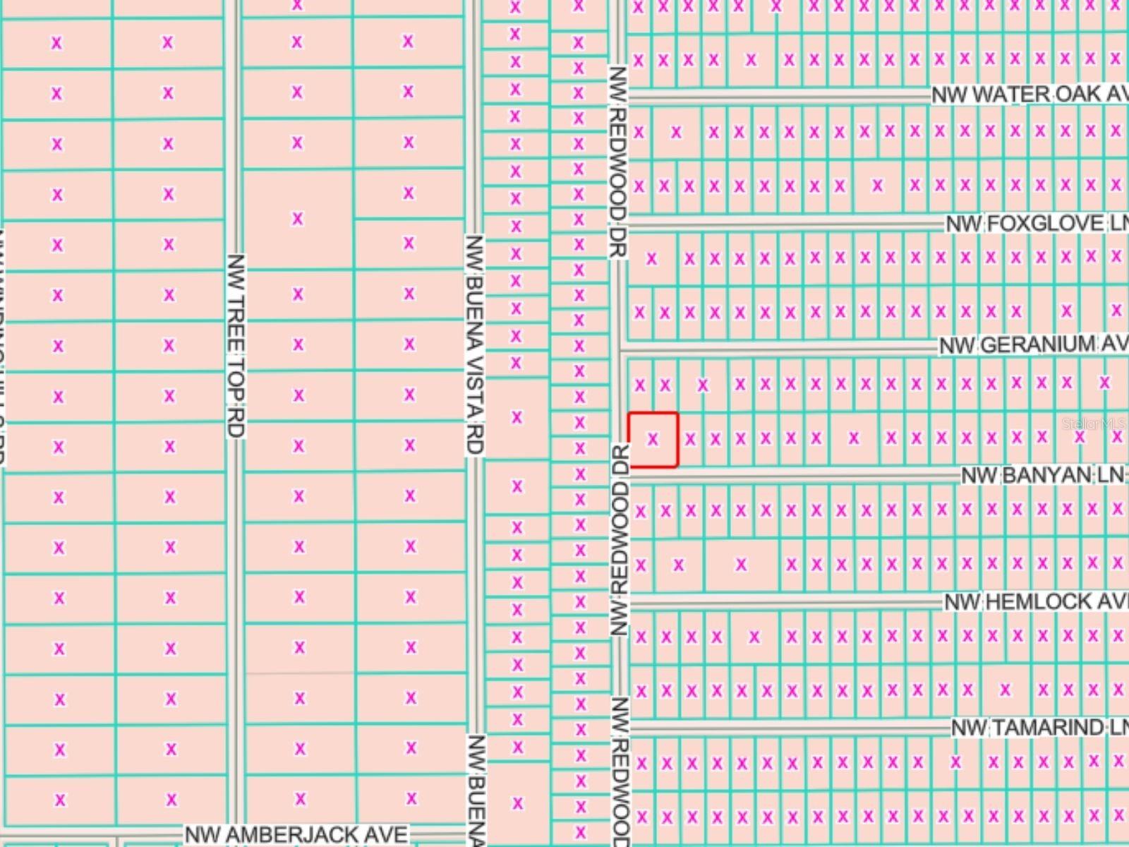 LOTS 65 & 66 NW BANYAN LN, DUNNELLON, FL — photo 3