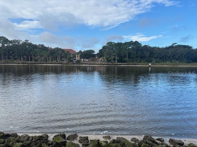 244 YACHT HARBOR DR, PALM COAST, FL — photo 5