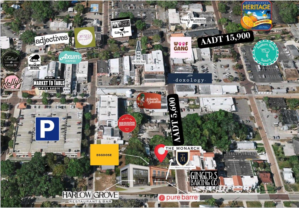 186 S MAIN ST, WINTER GARDEN, FL — photo 13