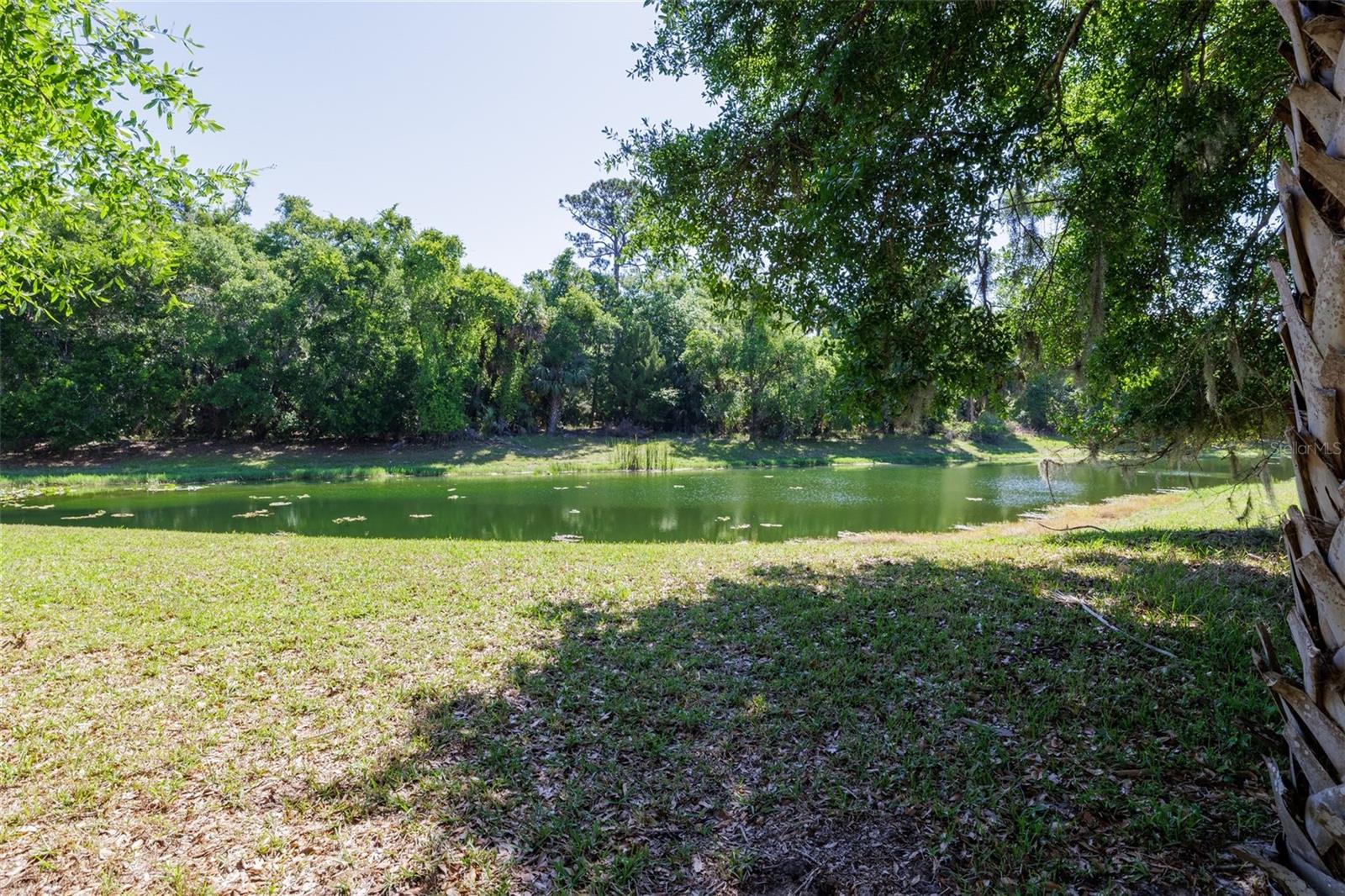 58 EMERALD OAKS LN, ORMOND BEACH, FL — photo 56