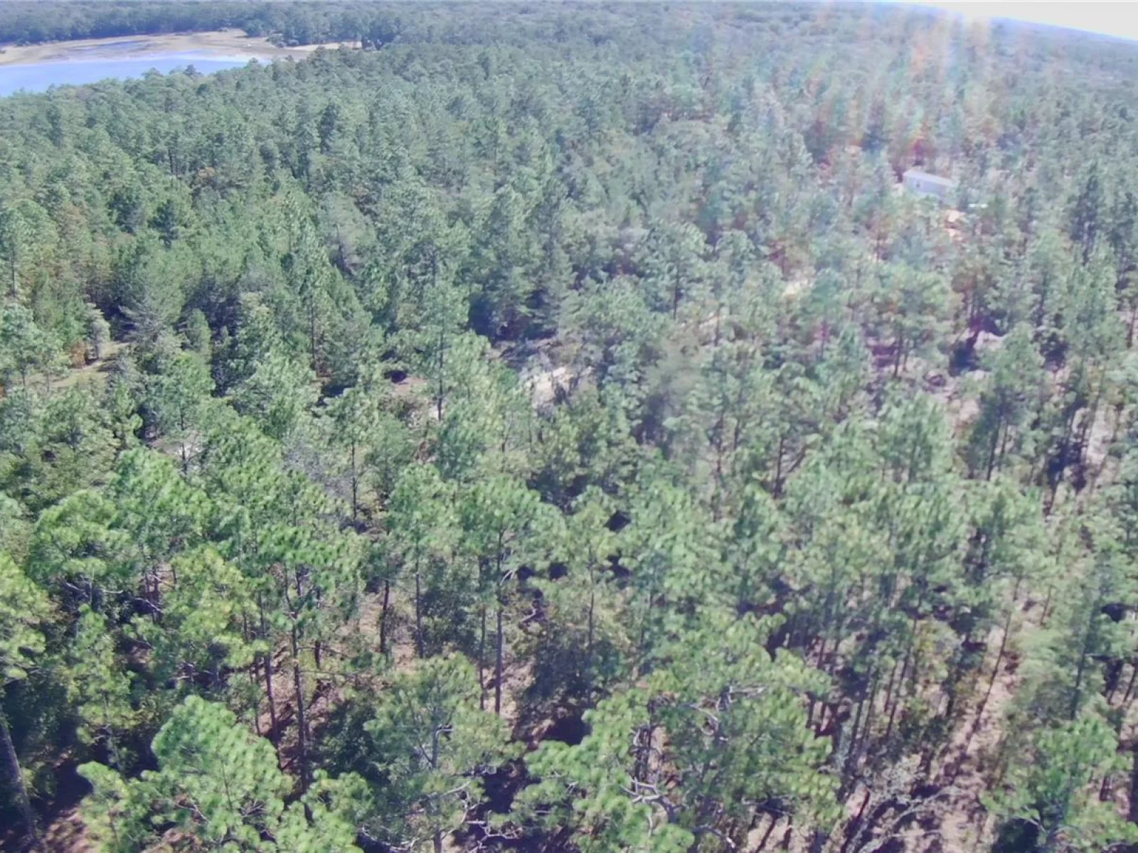 0 MONROE AVE LOT 12-17, HAWTHORNE, FL — photo 8