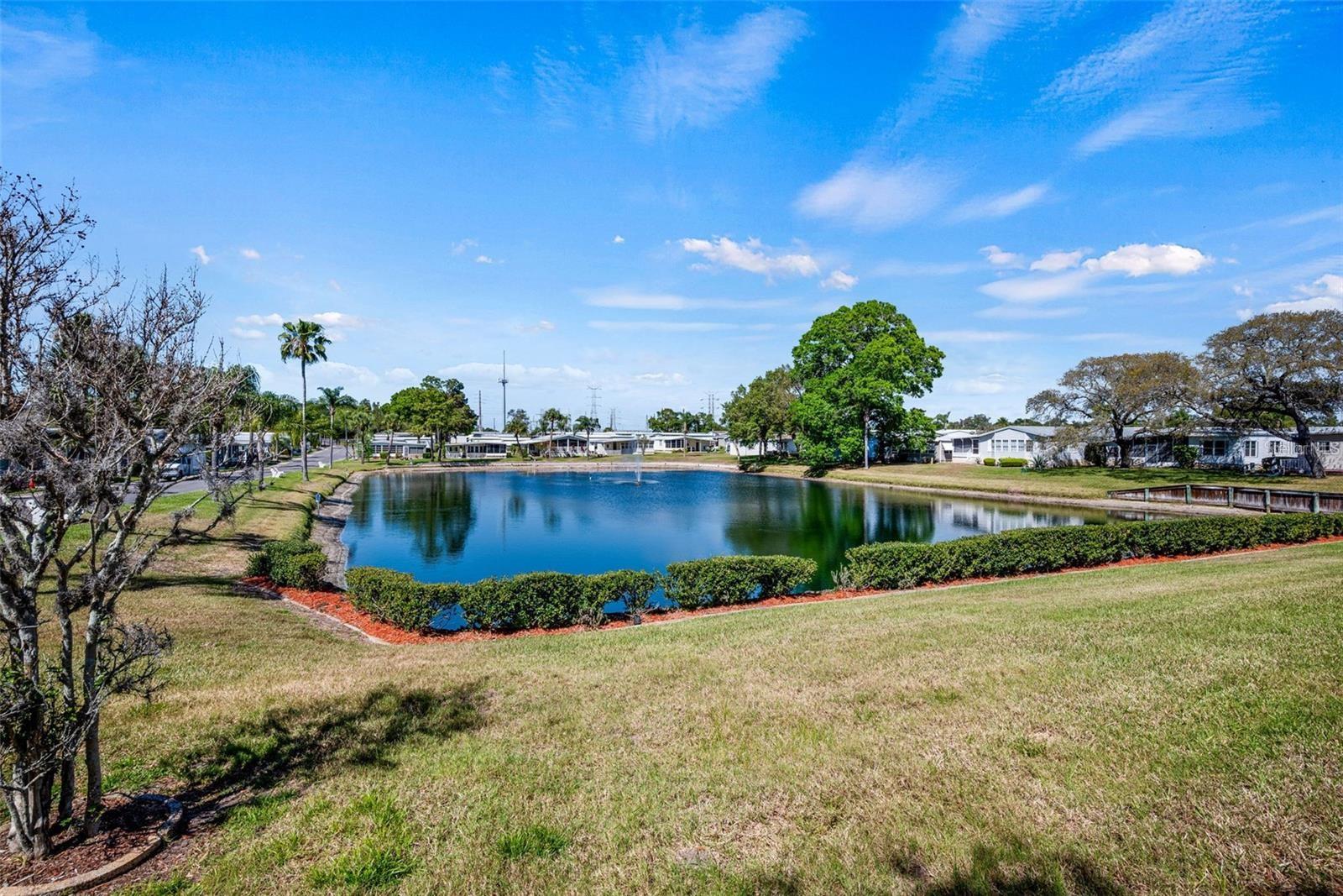 7 MOUNTAIN LAUREL DR, PALM HARBOR, FL — photo 33
