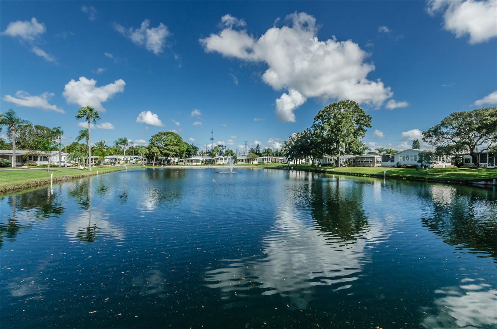 7 MOUNTAIN LAUREL DR, PALM HARBOR, FL — photo 41