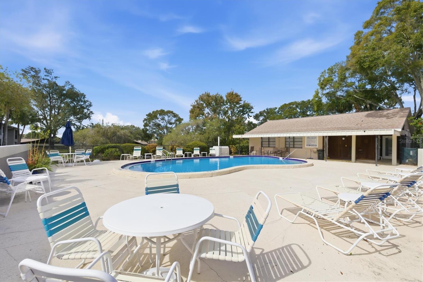 2178 ELM ST #1007, DUNEDIN, FL — photo 26