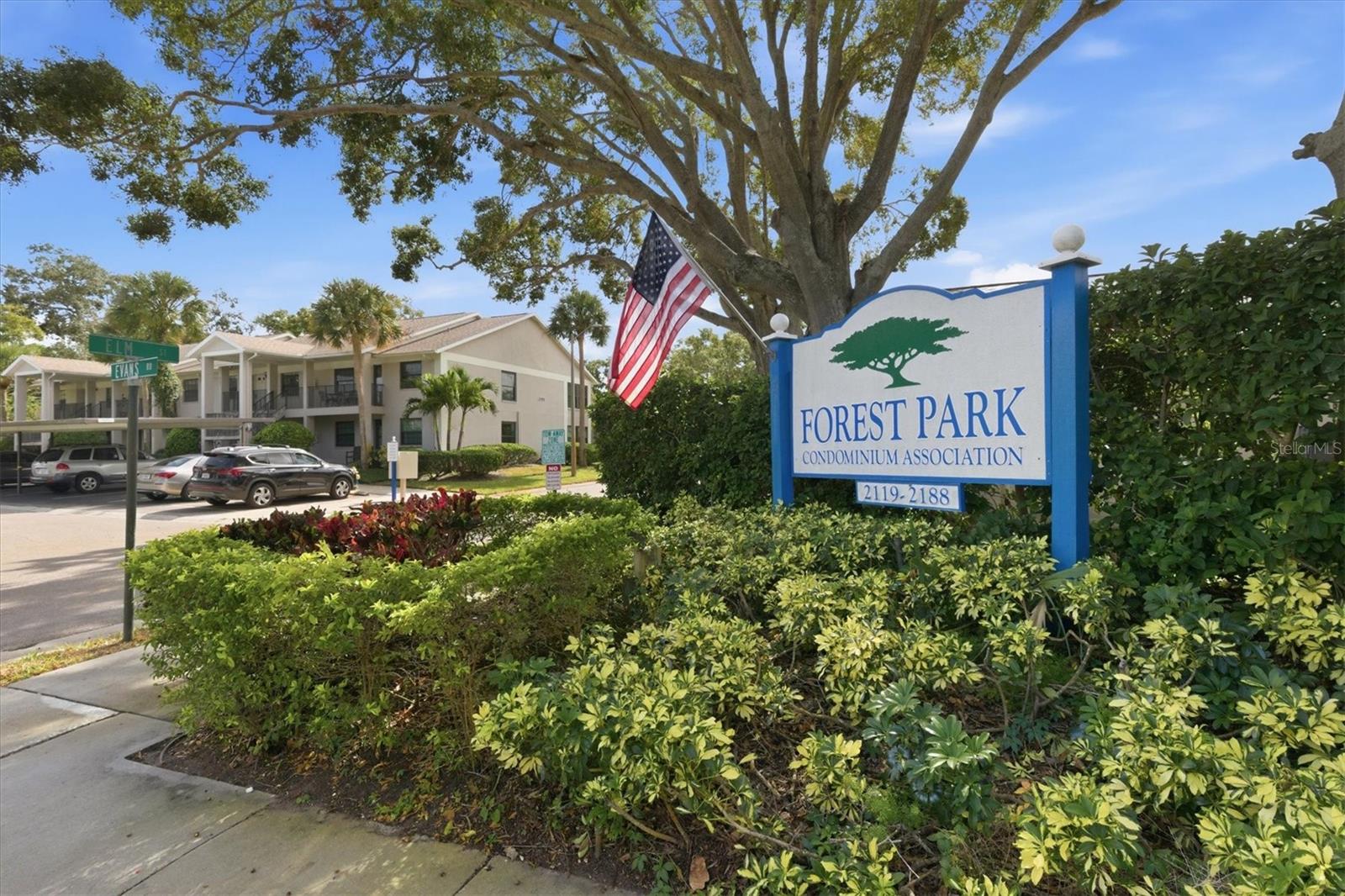 2178 ELM ST #1007, DUNEDIN, FL — photo 28