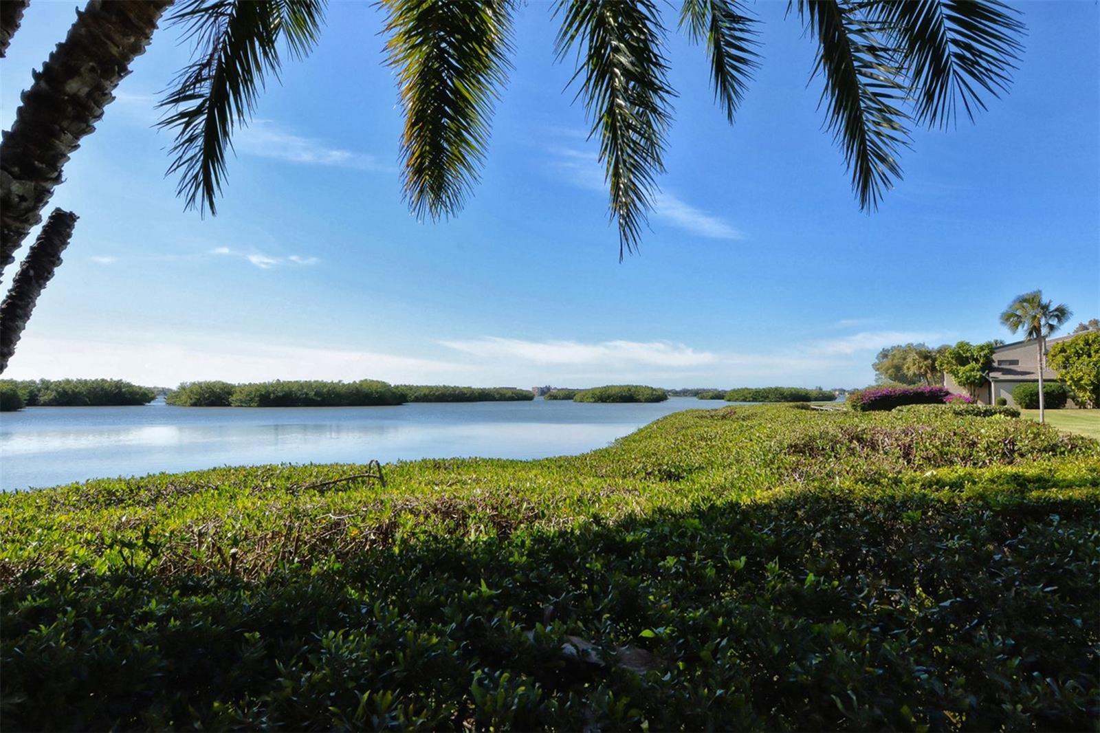 1518 PELICAN POINT DR #257, SARASOTA, FL — photo 46
