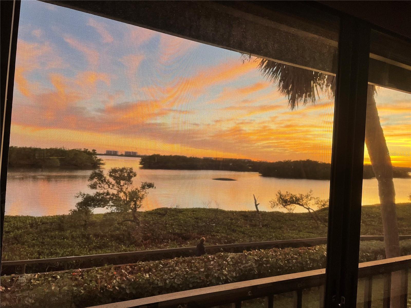 1518 PELICAN POINT DR #257, SARASOTA, FL — photo 57