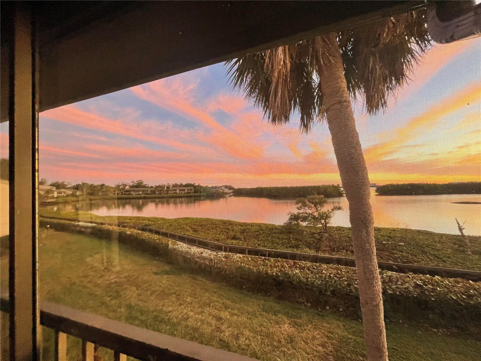 1518 PELICAN POINT DR #257, SARASOTA, FL — photo 59