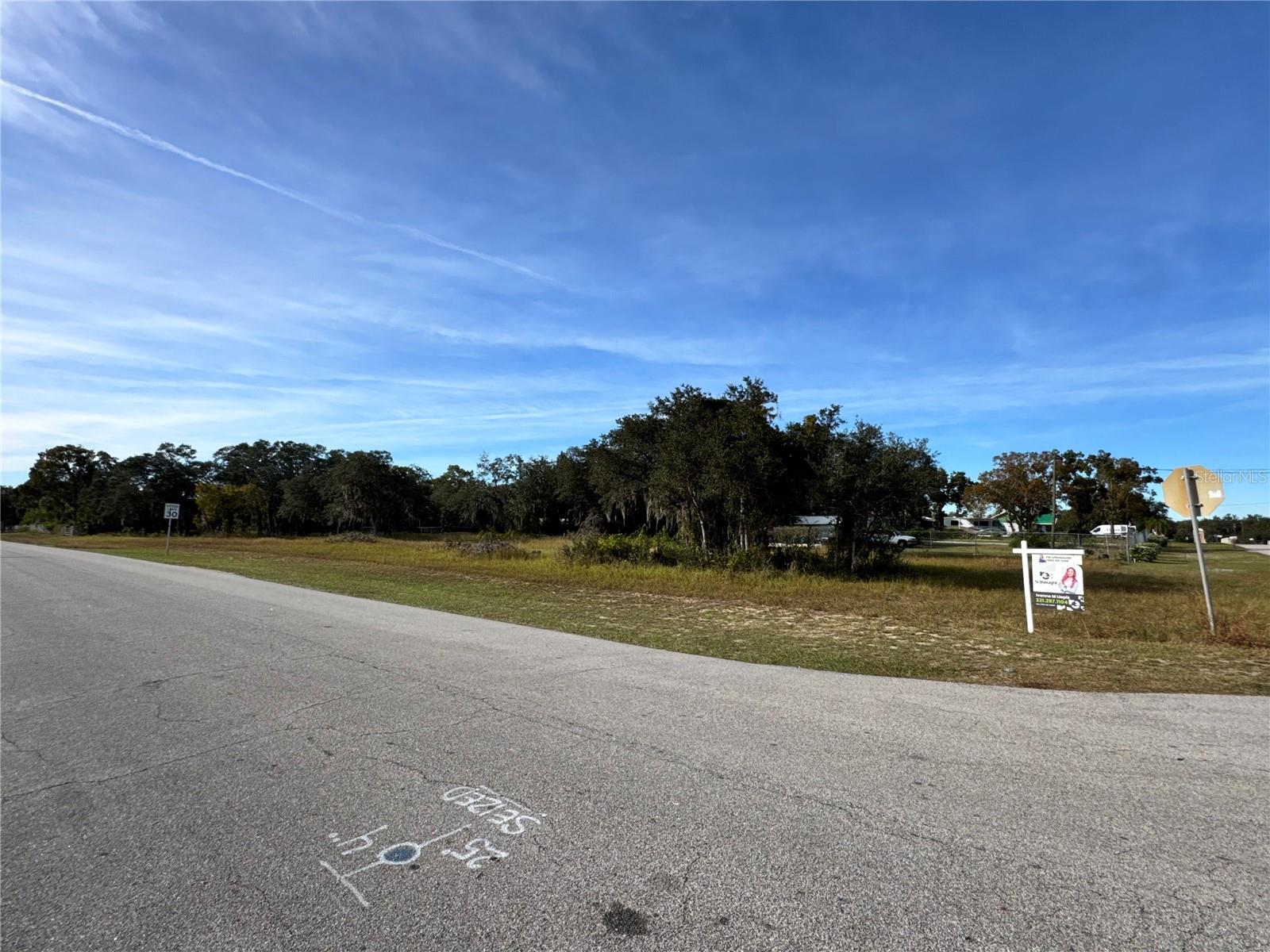 FAST TROT TRL, LAKE WALES, FL — photo 2